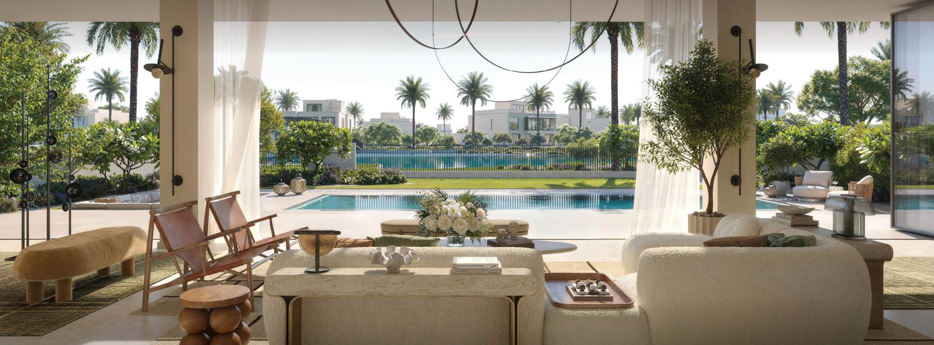 Palmiera Collective פלמיירה