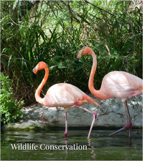 Arabian Hills Estate לגונה