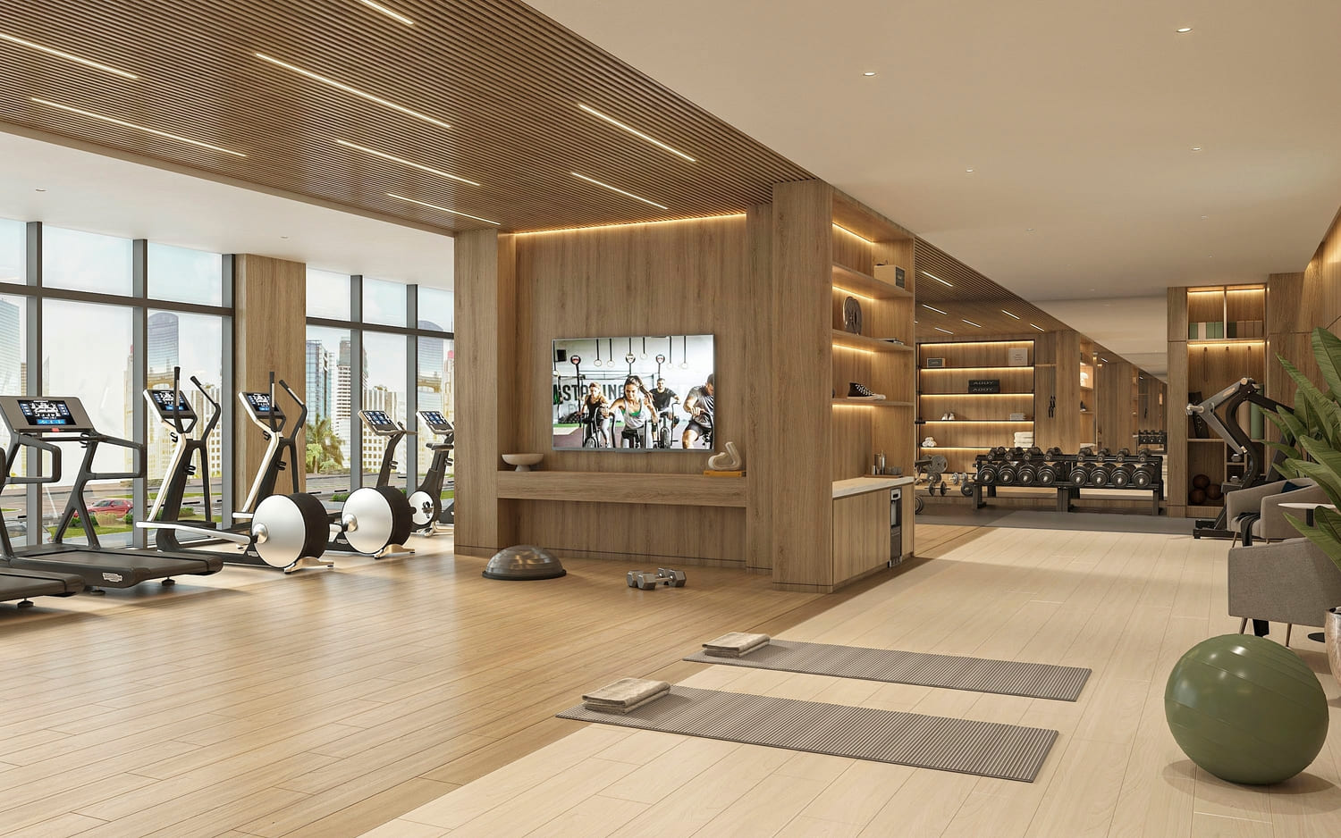 חדר כושר עזיזי דוד