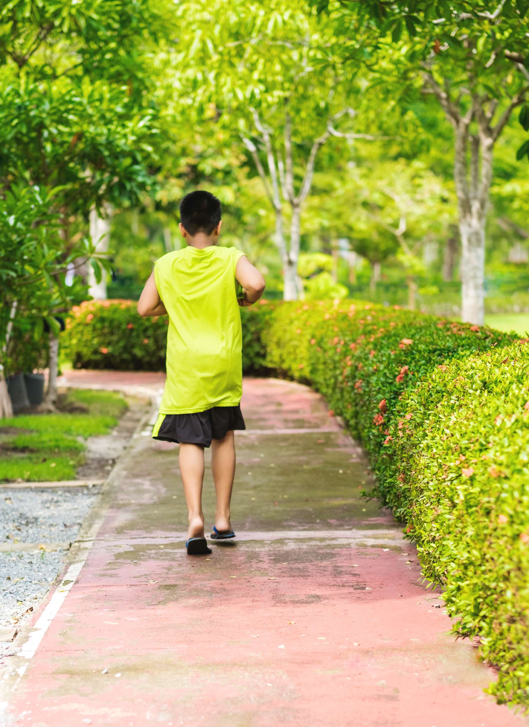 מסלול ריצה Butterfly Towers