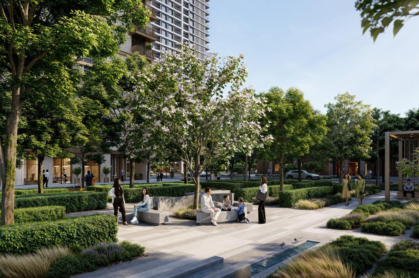 חפיסות פודיום מעוצבות