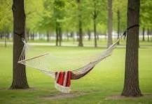 District 11 אזור בילוי