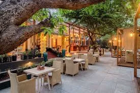 District 11 פינת אוכל