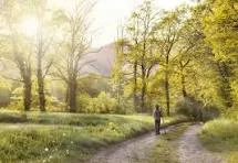 District 11 שבילי הליכה