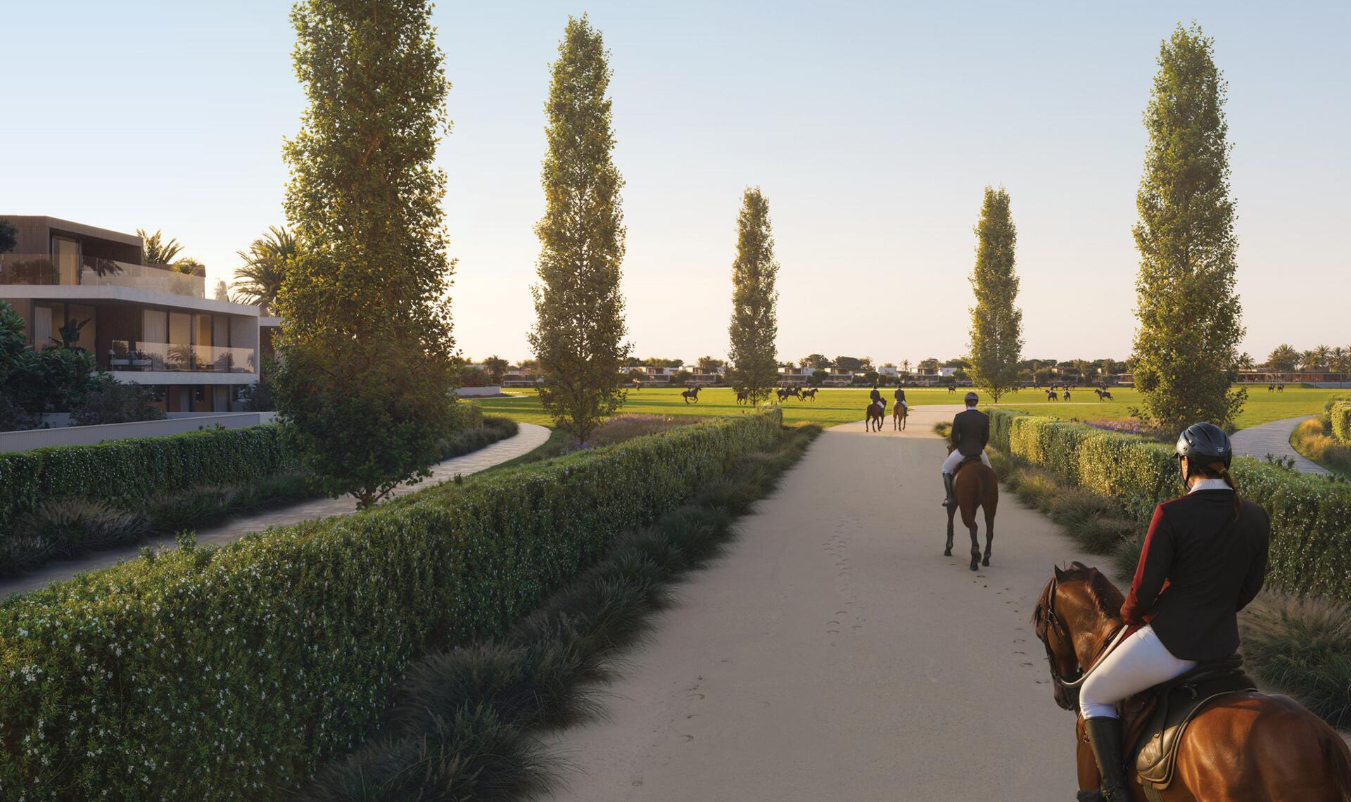 Equiterra 2 גלריה 21