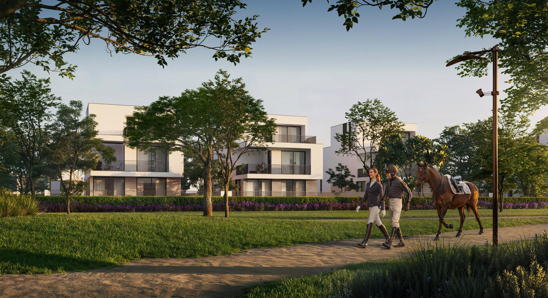 Equiterra 2 גלריה 5