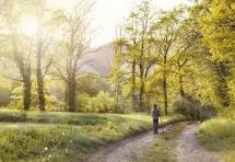 שבילי הליכה Project Maybach