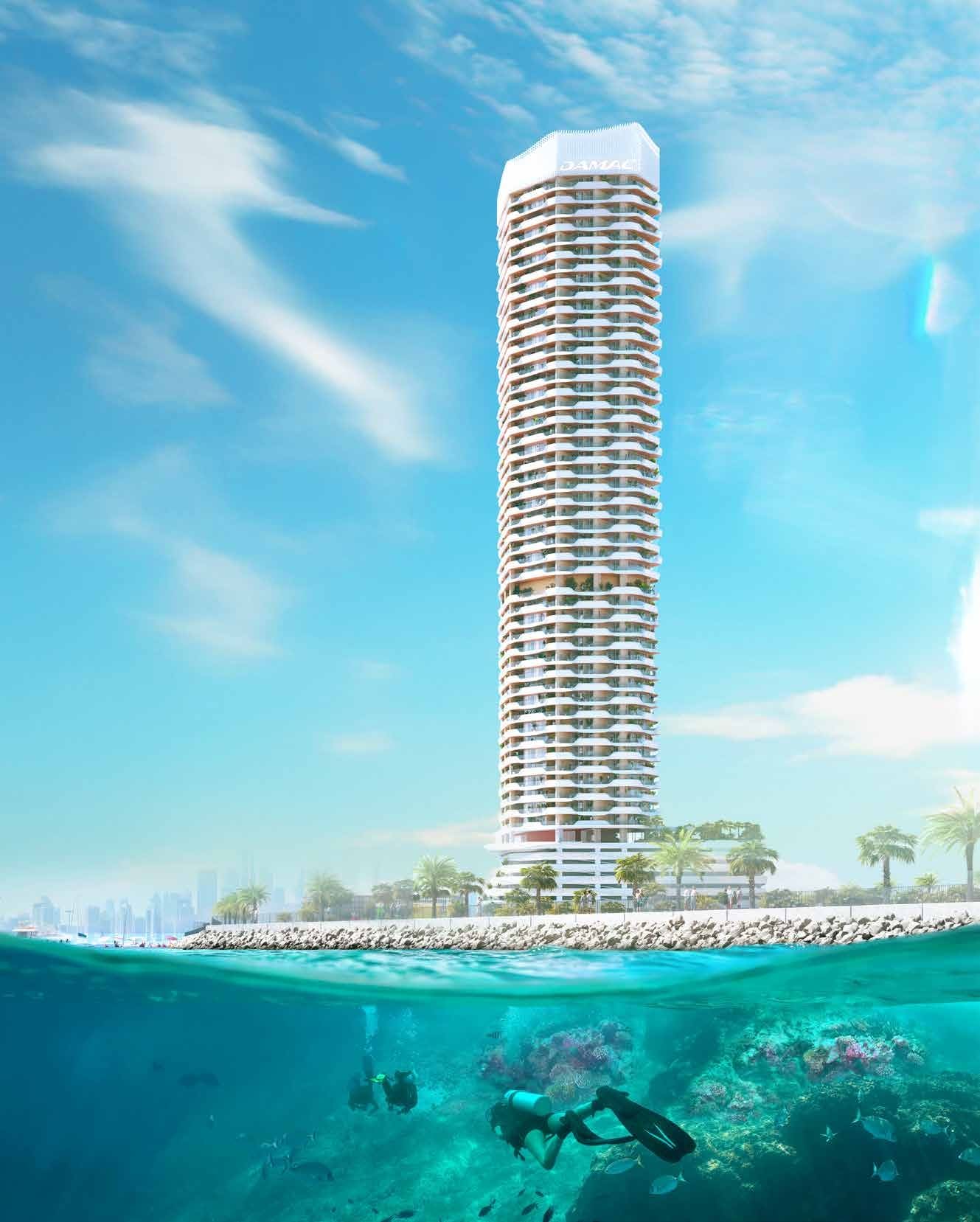 Coral Reef — תמונה 14